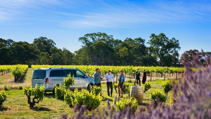 Barossa Valley Premium Wine Tour for Max 6 Guests with Restaurant Lunch (1/6)