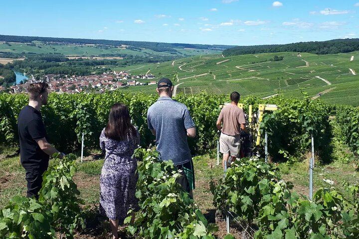 4x4 Defender Vineyard Safari near Reims with Panoramic Champagne Tasting, 2 to 8 Guests (11/12)
