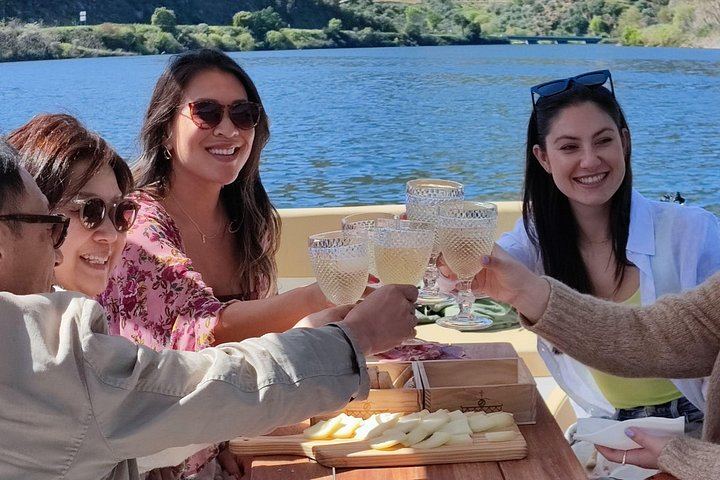 Douro Valley Mercedes Van Day Trip from Porto: Two Family Wineries and Boat Cocktail (4/12)