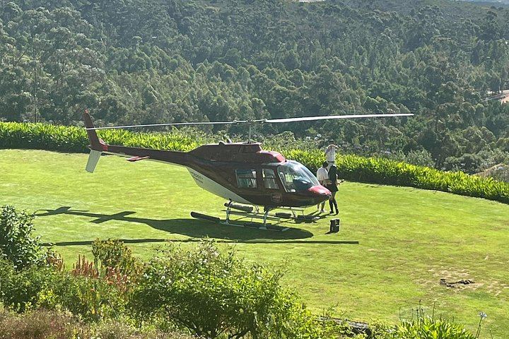Private Wine Tasting at Tokara, Delaire Graff and Fairview in the Cape Winelands (4/10)