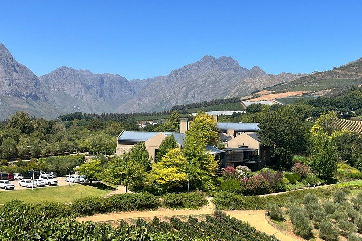 Private Wine Tasting at Tokara, Delaire Graff and Fairview in the Cape Winelands (8/10)