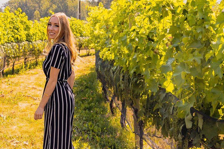 Osoyoos and Oliver Half-Day Wine Tour with Sip Happens, Tastings and Gratuity Included (3/12)
