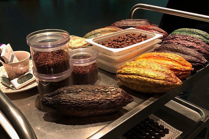 Sant Sadurní Cava and Chocolate Day Trip by Train from Barcelona with 4-Course Lunch (6/12)