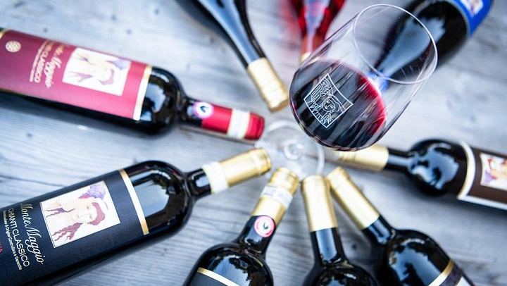 Organic Winery Tour and 3 or 6 Wine Tasting between Radda and Panzano in Chianti (3/12)
