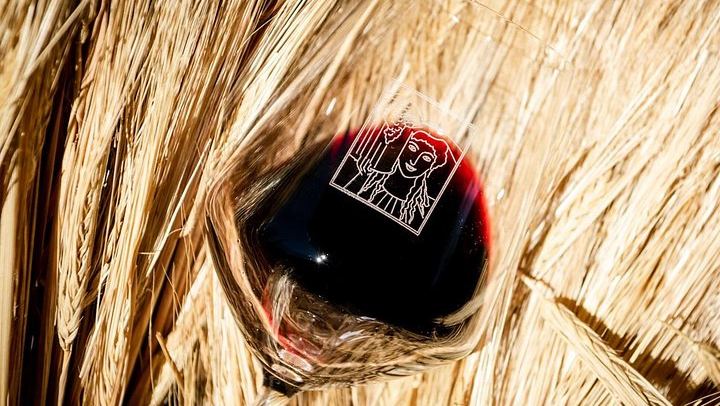 Organic Winery Tour and 3 or 6 Wine Tasting between Radda and Panzano in Chianti (4/12)