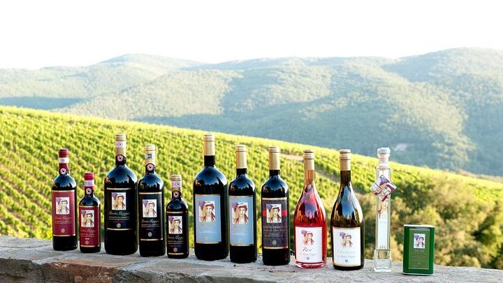 Organic Winery Tour and 3 or 6 Wine Tasting between Radda and Panzano in Chianti (2/12)
