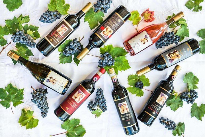 Organic Winery Tour and 3 or 6 Wine Tasting between Radda and Panzano in Chianti (11/12)