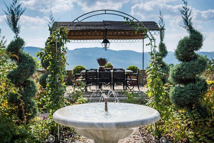 Organic Winery Tour and 3 or 6 Wine Tasting between Radda and Panzano in Chianti (5/12)