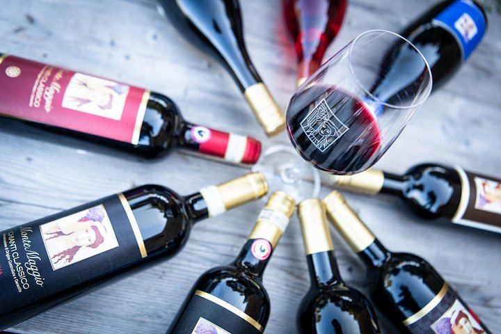 Organic Winery Tour and 3 or 6 Wine Tasting between Radda and Panzano in Chianti (3/12)