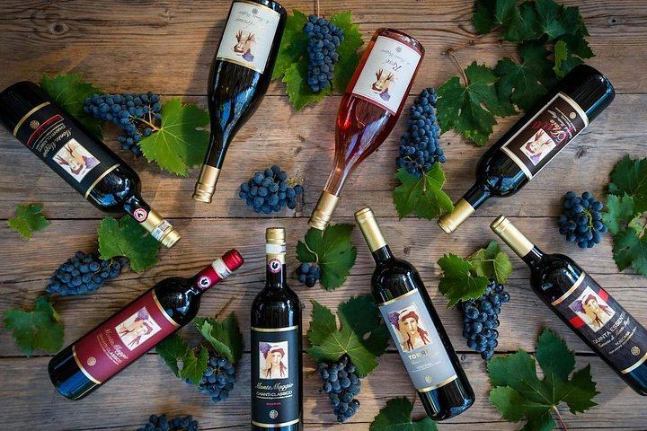 Organic Winery Tour and 3 or 6 Wine Tasting between Radda and Panzano in Chianti (6/12)
