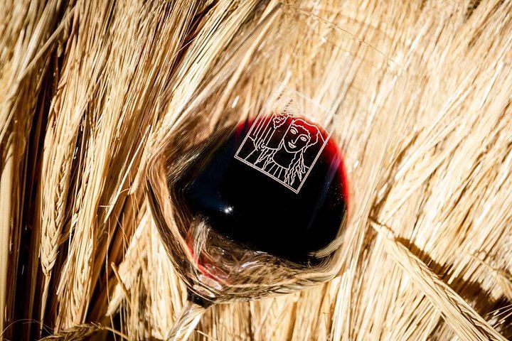 Organic Winery Tour and 3 or 6 Wine Tasting between Radda and Panzano in Chianti (4/12)