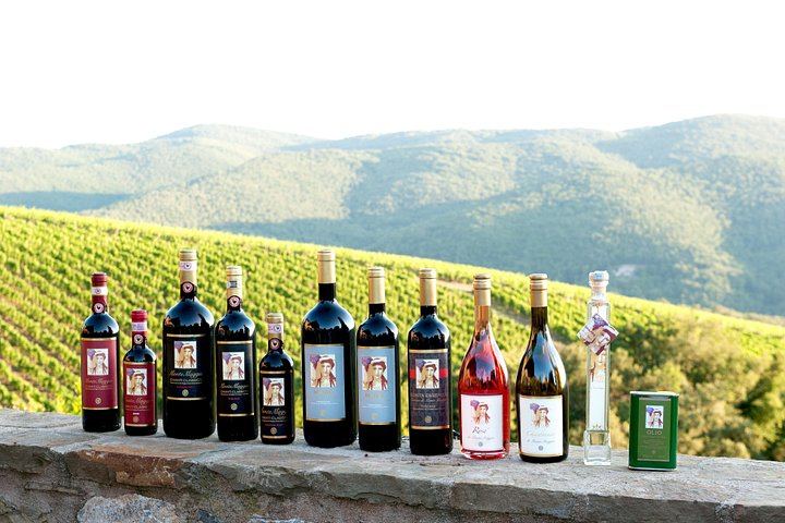 Organic Winery Tour and 3 or 6 Wine Tasting between Radda and Panzano in Chianti (2/12)
