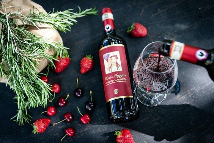 Organic Winery Tour and 3 or 6 Wine Tasting between Radda and Panzano in Chianti (10/12)