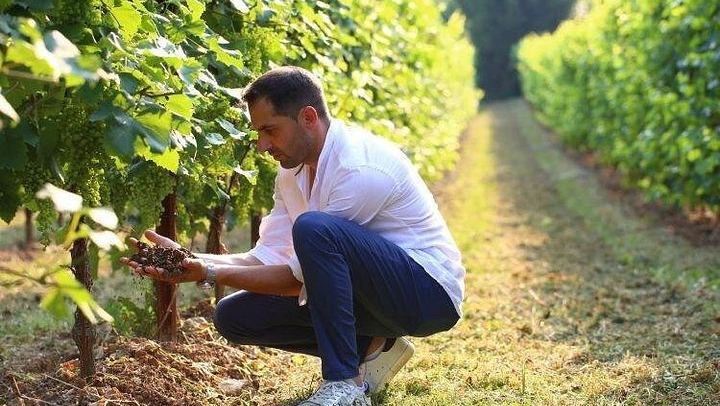 La Svolta Winery in San Pietro di Feletto: Vineyard Walk, Four Prosecco Superiore (2/11)