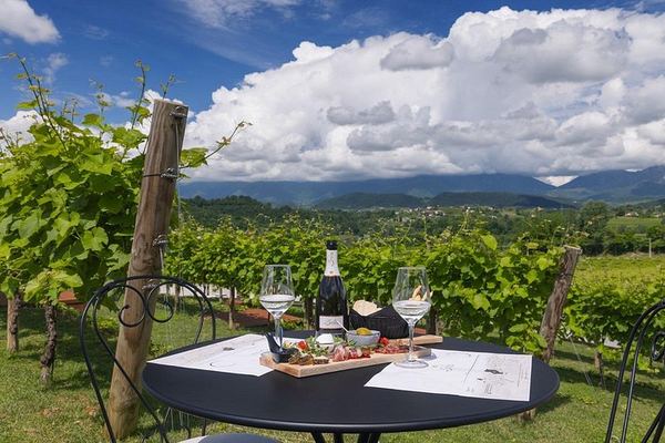 La Svolta Winery in San Pietro di Feletto: Vineyard Walk, Four Prosecco Superiore