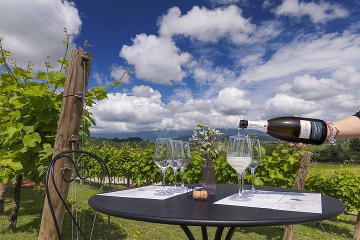 La Svolta Winery in San Pietro di Feletto: Vineyard Walk, Four Prosecco Superiore (6/11)