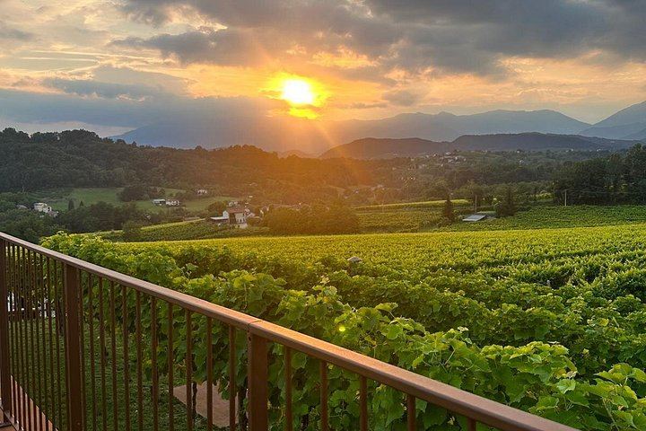 La Svolta Winery in San Pietro di Feletto: Vineyard Walk, Four Prosecco Superiore (11/11)