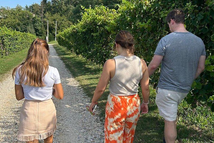 La Svolta Winery in San Pietro di Feletto: Vineyard Walk, Four Prosecco Superiore (10/11)