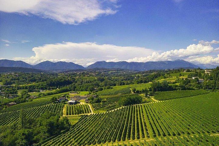 La Svolta Winery in San Pietro di Feletto: Vineyard Walk, Four Prosecco Superiore (8/11)