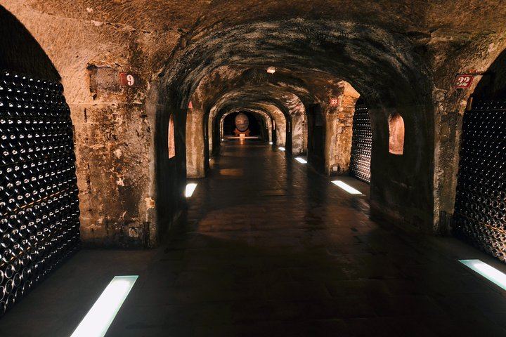 Champagne Day Trip from Paris: Hotel Pickup, Cellars, Vineyard and Lunch, 8 Tastings (11/12)