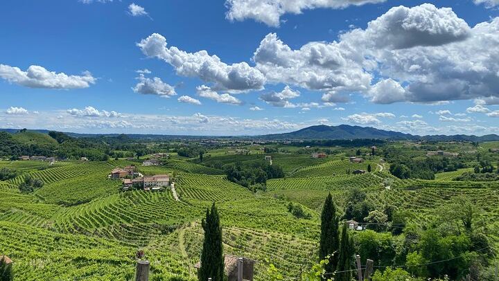 Prosecco Hills Day Trip from Padua: Follina Abbey, Old Mill and Cartizze (1/8)