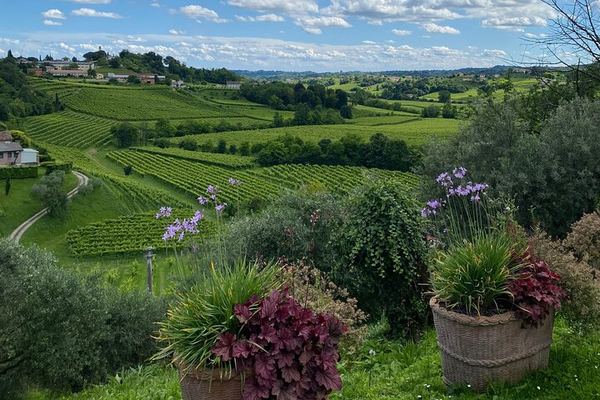 Prosecco Hills Day Trip from Padua: Follina Abbey, Old Mill and Cartizze