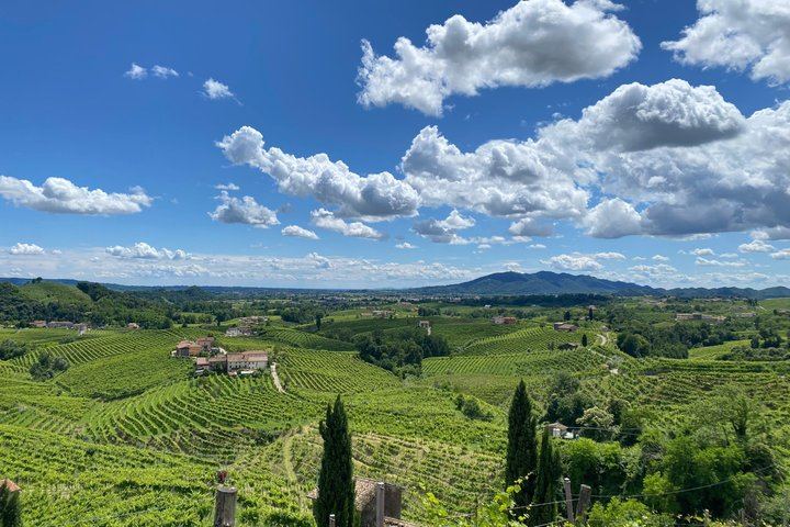 Prosecco Hills Day Trip from Padua: Follina Abbey, Old Mill and Cartizze (8/8)