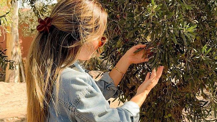 Half-Day Maipú Tour: Three Wineries and an Olive Grove, All Tastings Included (4/7)