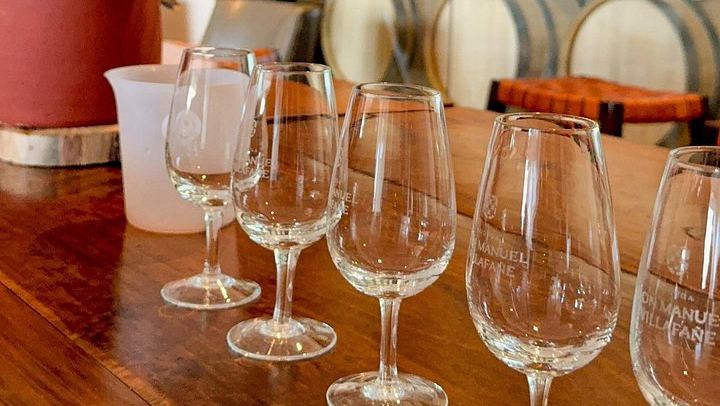 Half-Day Maipú Tour: Three Wineries and an Olive Grove, All Tastings Included (2/7)