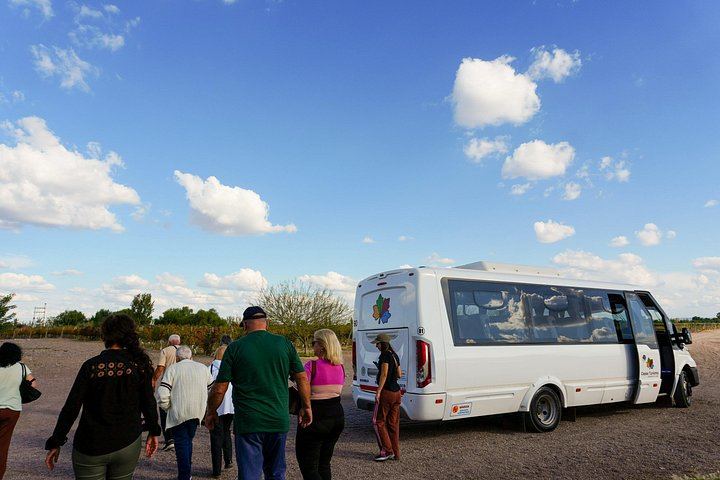 Half-Day Maipú Tour: Three Wineries and an Olive Grove, All Tastings Included (6/7)