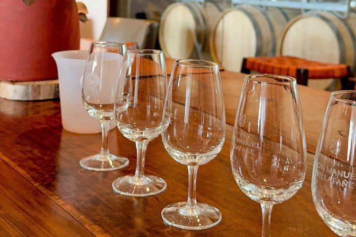 Half-Day Maipú Tour: Three Wineries and an Olive Grove, All Tastings Included (2/7)
