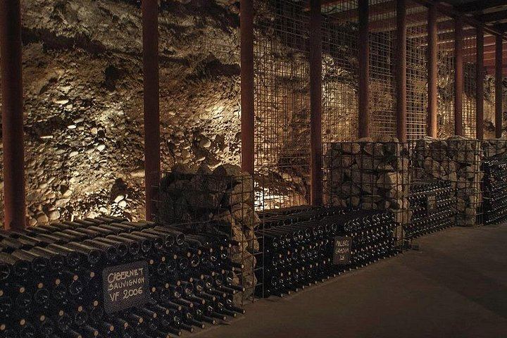 Half-Day Maipú Tour: Three Wineries and an Olive Grove, All Tastings Included (7/7)