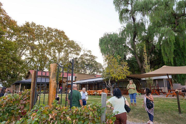 Half-Day Maipú Tour: Three Wineries and an Olive Grove, All Tastings Included (5/7)