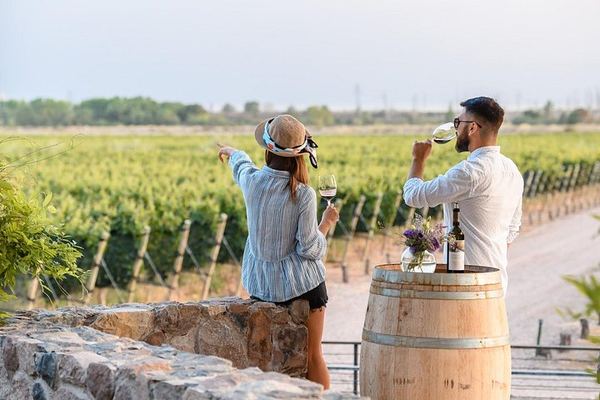 Half-Day Maipú Tour: Three Wineries and an Olive Grove, All Tastings Included