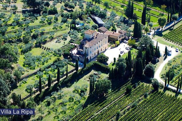 Chianti Colli Aretini Vineyard Tour near a 1558 Villa: Olive Oil and Wine Tasting