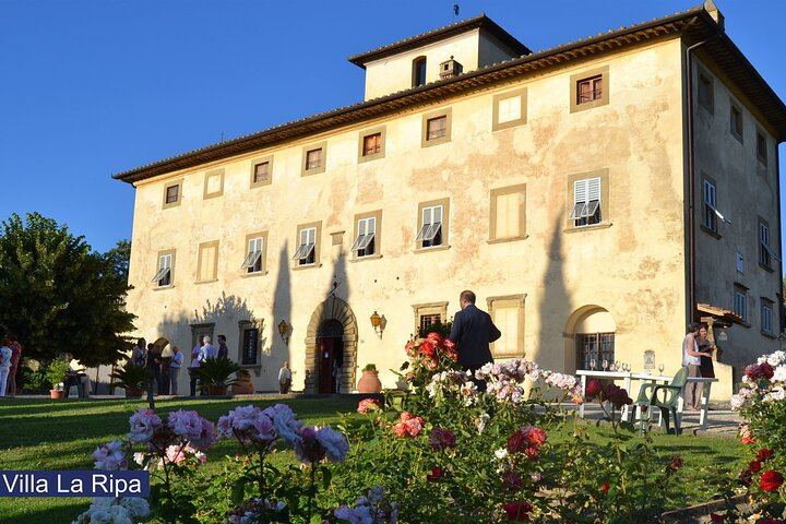 Chianti Colli Aretini Vineyard Tour near a 1558 Villa: Olive Oil and Wine Tasting (1/5)