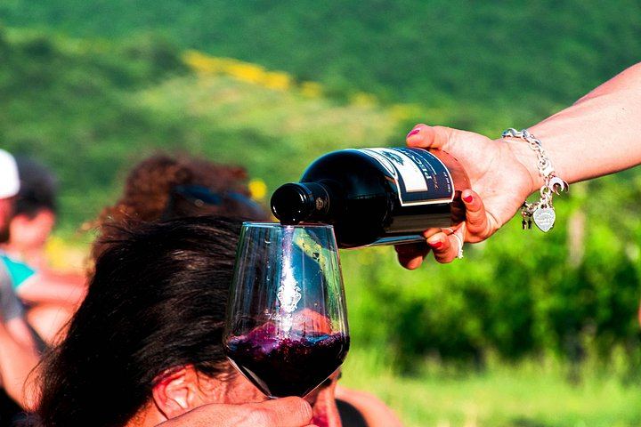 Chianti Colli Aretini Vineyard Tour near a 1558 Villa: Olive Oil and Wine Tasting (5/5)