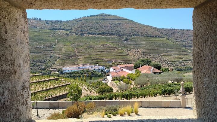 Douro Valley Sommelier Tour: Small Estates, Pinhão Boat Ride and Historic House Lunch (1/12)