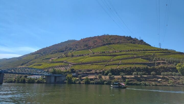 Douro Valley Sommelier Tour: Small Estates, Pinhão Boat Ride and Historic House Lunch (4/12)