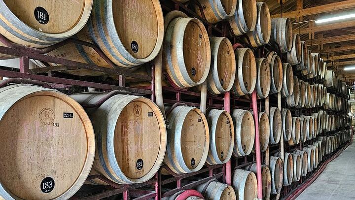 Douro Valley Sommelier Tour: Small Estates, Pinhão Boat Ride and Historic House Lunch (3/12)