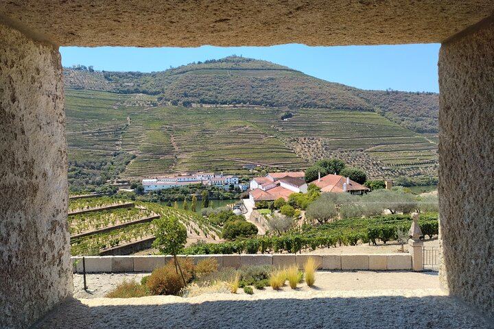 Douro Valley Sommelier Tour: Small Estates, Pinhão Boat Ride and Historic House Lunch (1/12)