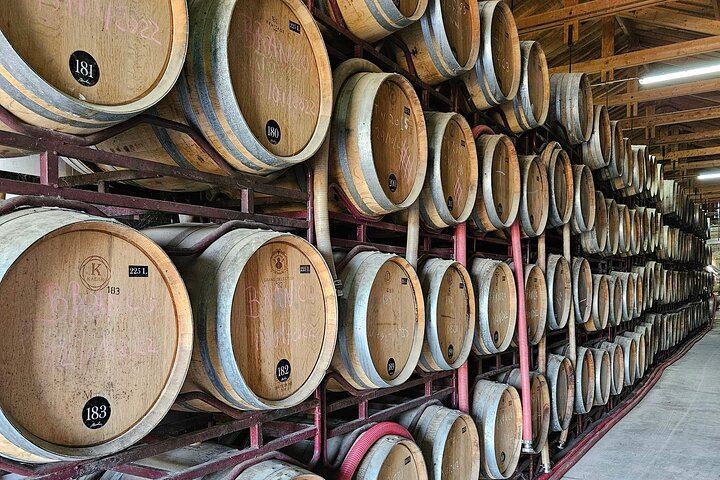 Douro Valley Sommelier Tour: Small Estates, Pinhão Boat Ride and Historic House Lunch (3/12)