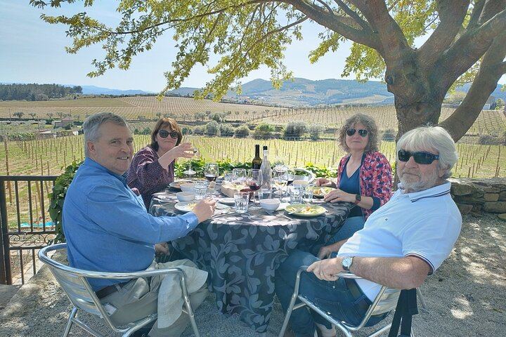 Douro Valley Sommelier Tour: Small Estates, Pinhão Boat Ride and Historic House Lunch (7/12)