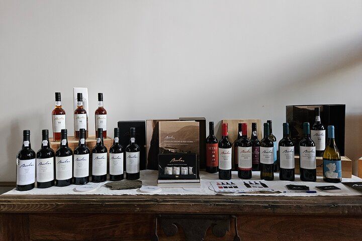 Douro Valley Sommelier Tour: Small Estates, Pinhão Boat Ride and Historic House Lunch (10/12)