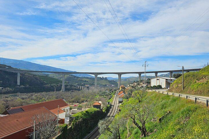 Douro Valley Sommelier Tour: Small Estates, Pinhão Boat Ride and Historic House Lunch (12/12)