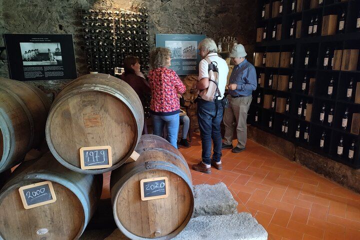 Douro Valley Sommelier Tour: Small Estates, Pinhão Boat Ride and Historic House Lunch (11/12)
