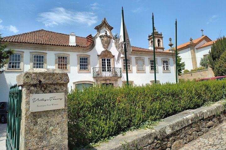 Douro Valley Sommelier Tour: Small Estates, Pinhão Boat Ride and Historic House Lunch (5/12)