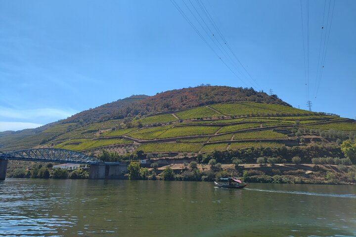 Douro Valley Sommelier Tour: Small Estates, Pinhão Boat Ride and Historic House Lunch (4/12)