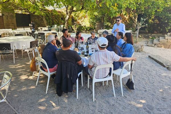 Douro Valley Sommelier Tour: Small Estates, Pinhão Boat Ride and Historic House Lunch