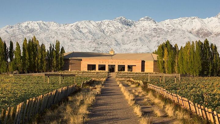 Private Uco Valley Wine Tour with Three Wineries Chosen by Mendoza Holidays (3/4)